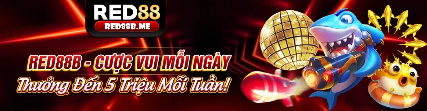 Hình ảnh chính sách cookie của okking99 khuyến mãi